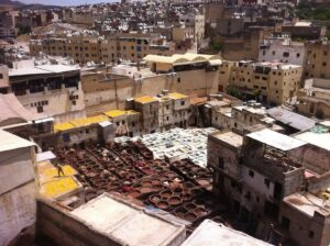 Tannery guided tour