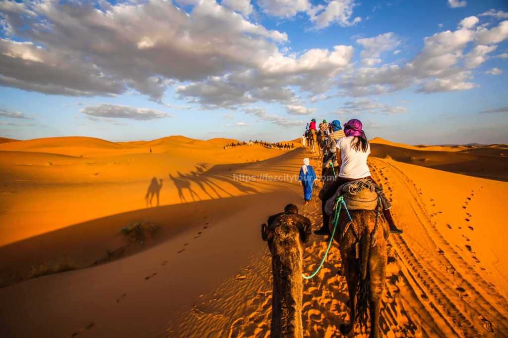 fes to marrakech desert trip