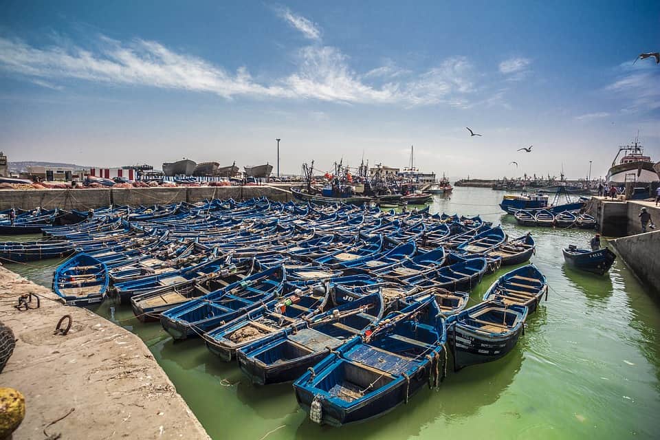 one day trip to essaouira from marrakech