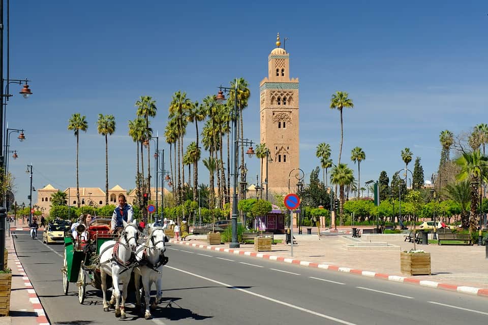  best  guided tour marrakech