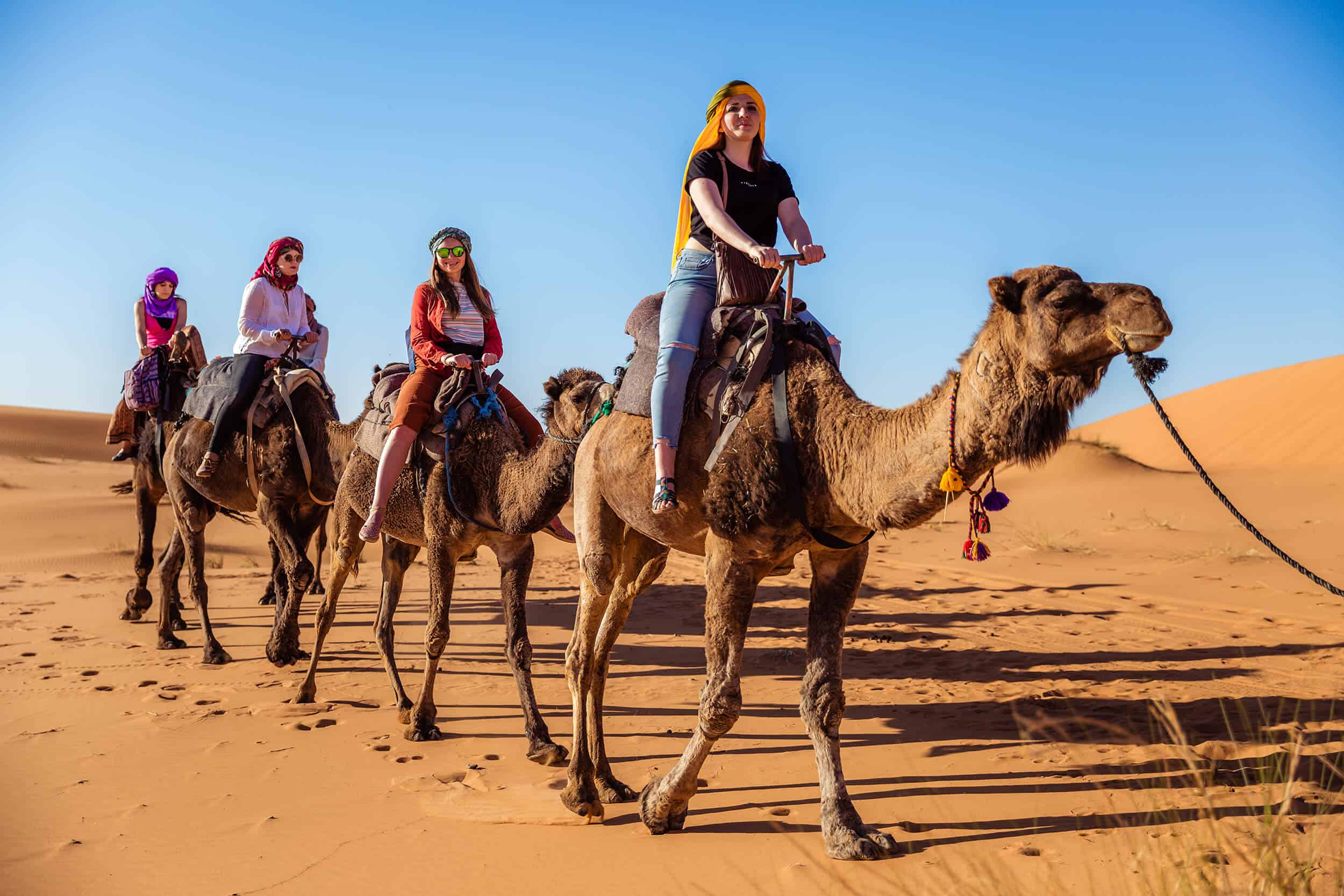 Morocco camel trekking