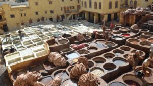 fez city tour
