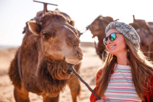 fez city tour